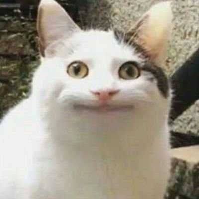 Meme Ekspresi